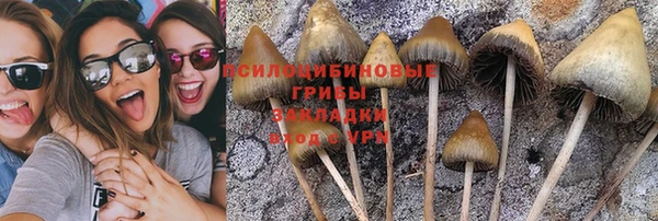 прущие грибы Белоозёрский