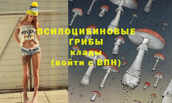 бошки Богданович