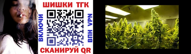 Канабис планчик Кизилюрт